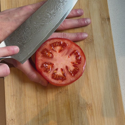 Novara Pro Black (プロブラック) - Damascus Steel Knives